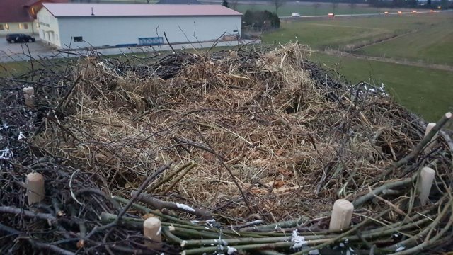 2018 Storchennest(auf)bau in Ausbuettel und Ribbesbuettel 022